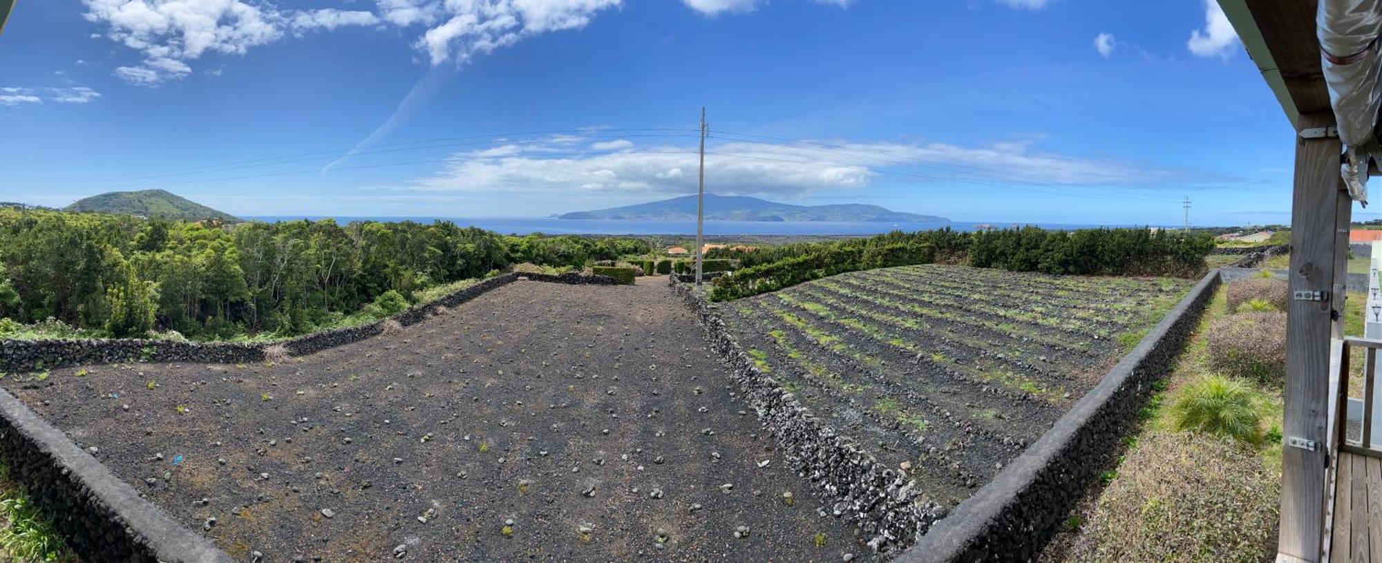 Novavista - Inn Pico Madalena  Exteriér fotografie